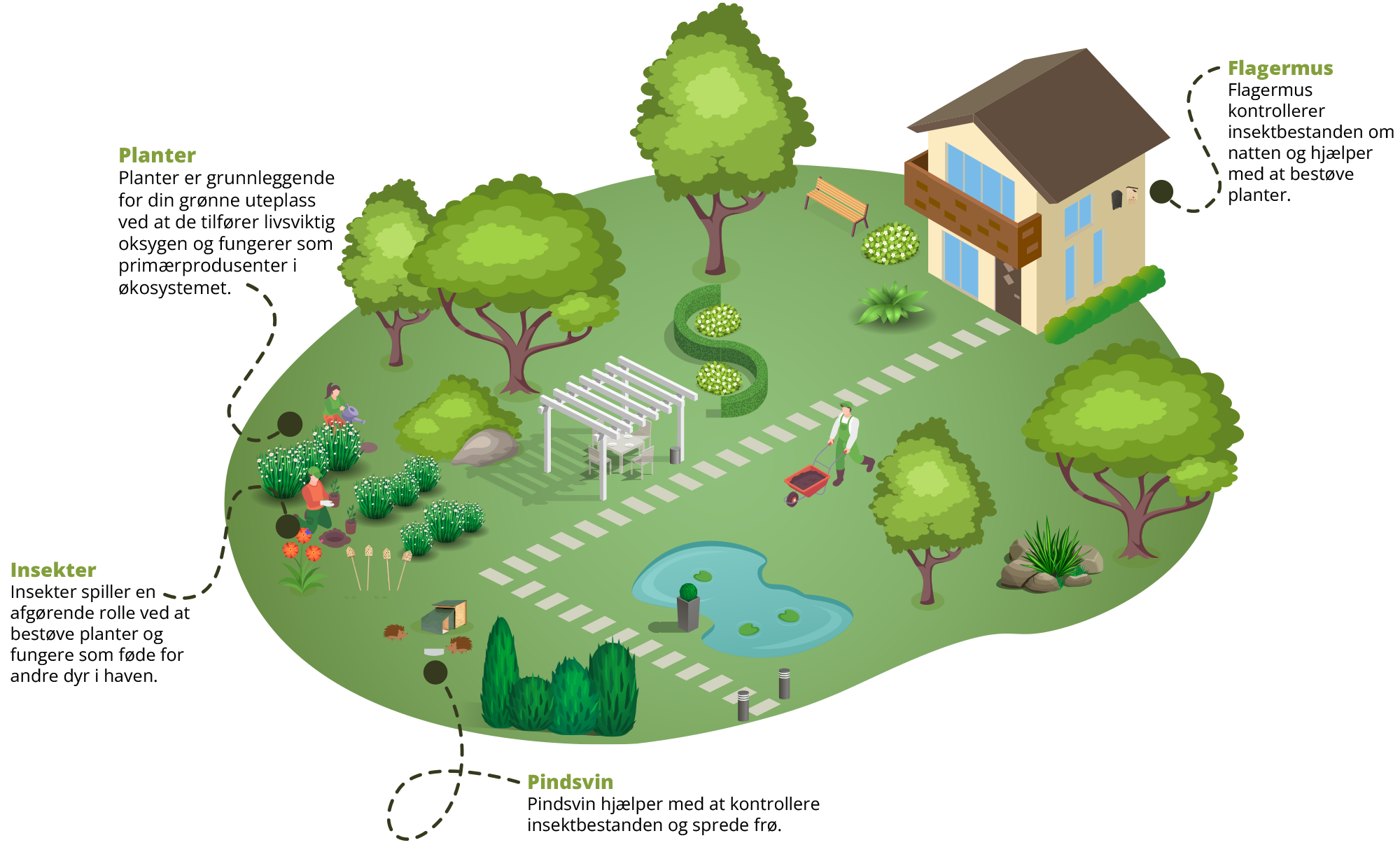 Your garden, your green living room