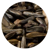 Nigerfrø til stillitser og finker